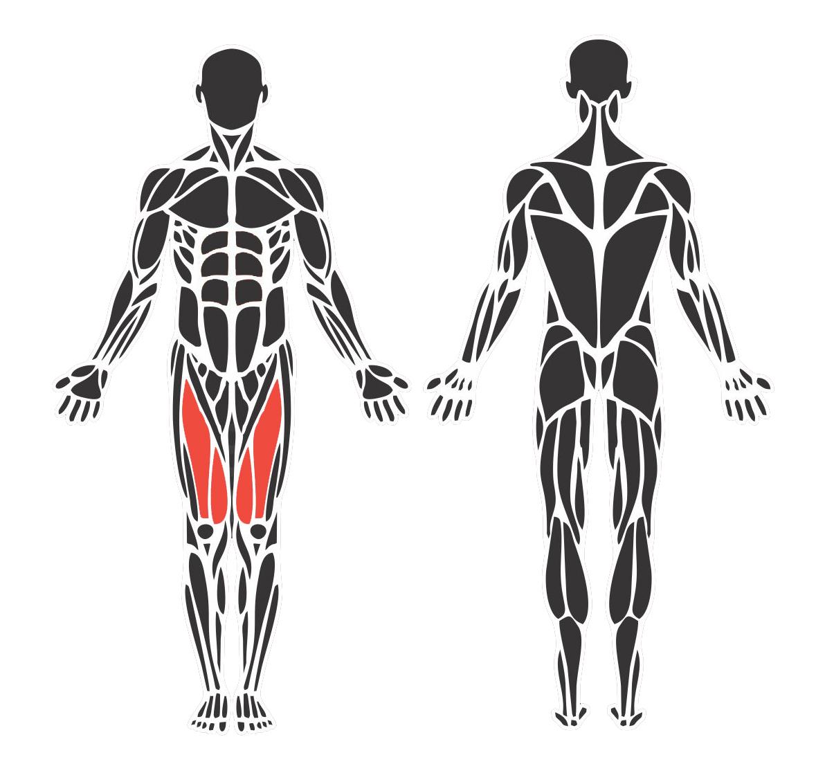 Banco Extensor 